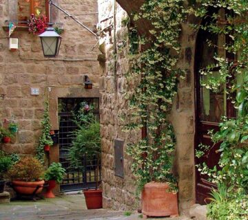Assistenza Anziani Viterbo